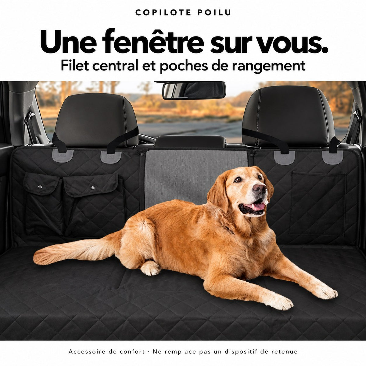 Plateau Copilote : fenêtre en filet central et poches de rangement, golden retriever allongé