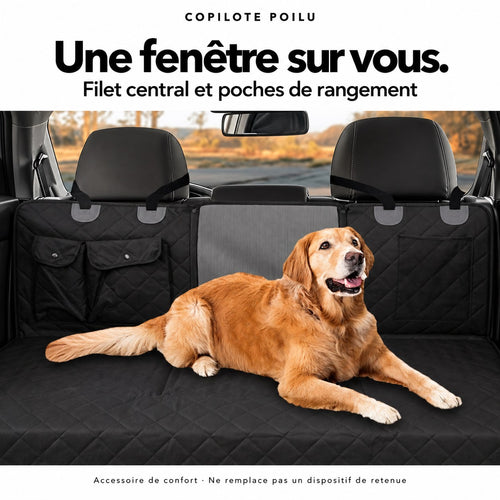 Plateau Copilote : fenêtre en filet central et poches de rangement, golden retriever allongé