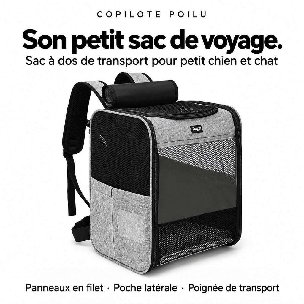 Sac à dos Copilote : sac de transport pour petit chien et chat, panneaux en filet, poche latérale, poignée
