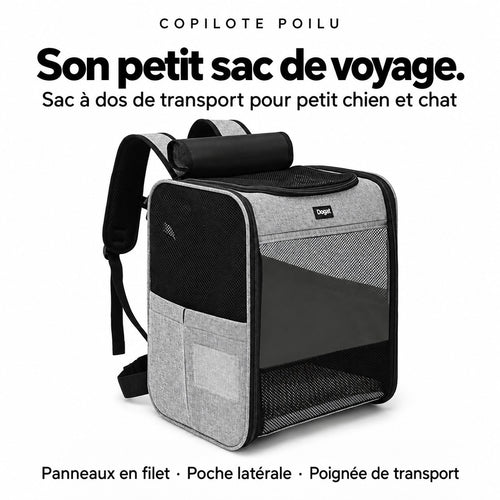 Sac à dos Copilote : sac de transport pour petit chien et chat, panneaux en filet, poche latérale, poignée